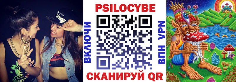 наркошоп  Дзержинск  Псилоцибиновые грибы Psilocybe 